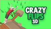 Crazy Flips 3D img