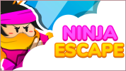 Ninja Escape