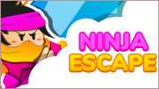 Ninja Escape img