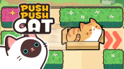 Push Push Cat img