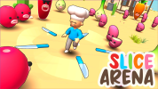 Slice Arena img