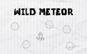 Wild Meteor