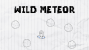 Wild Meteor img