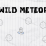 Wild Meteor