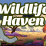 Wildlife Haven Sandbox Safari